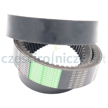 Pasek klinowy ząbkowany CLAAS 629035 OPTIBELT