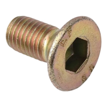 Śruba imbusowa M12x25 talerza 5036010510