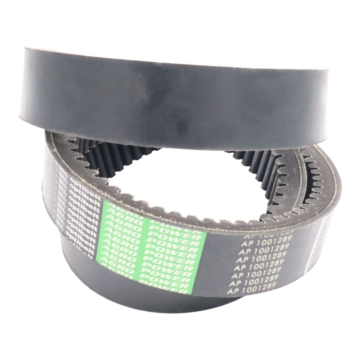 Pasek klinowy ząbkowany CLAAS 629035 OPTIBELT